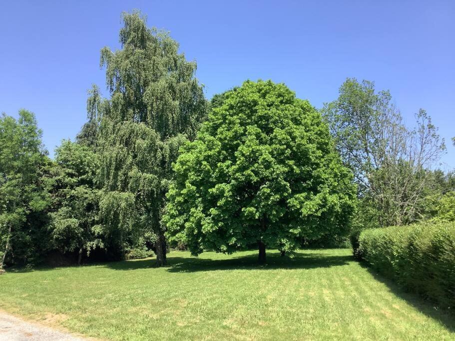 Appartement View